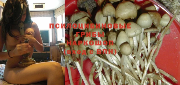 индика Верхнеуральск