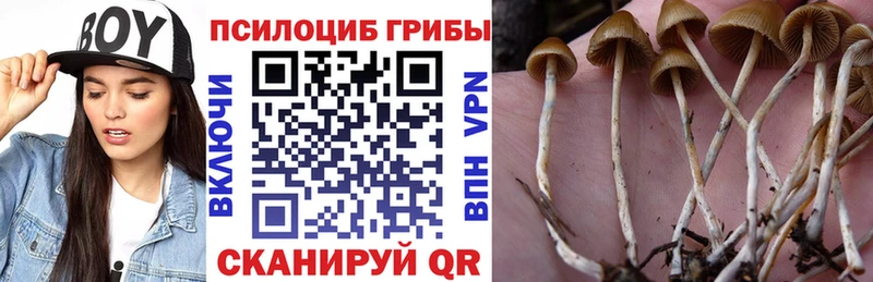 как найти наркотики Саратов Псилоцибиновые грибы GOLDEN TEACHER